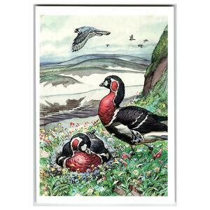 Red-breasted Geese Art Postcard by V.A. Gorbatov, Russian Wildlife 1990